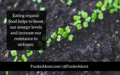What you need to know about organic food