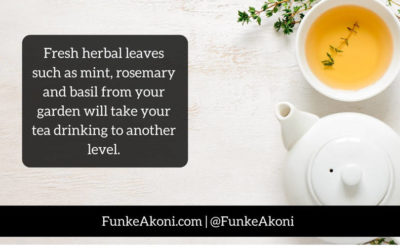 Grow your own tea and spices