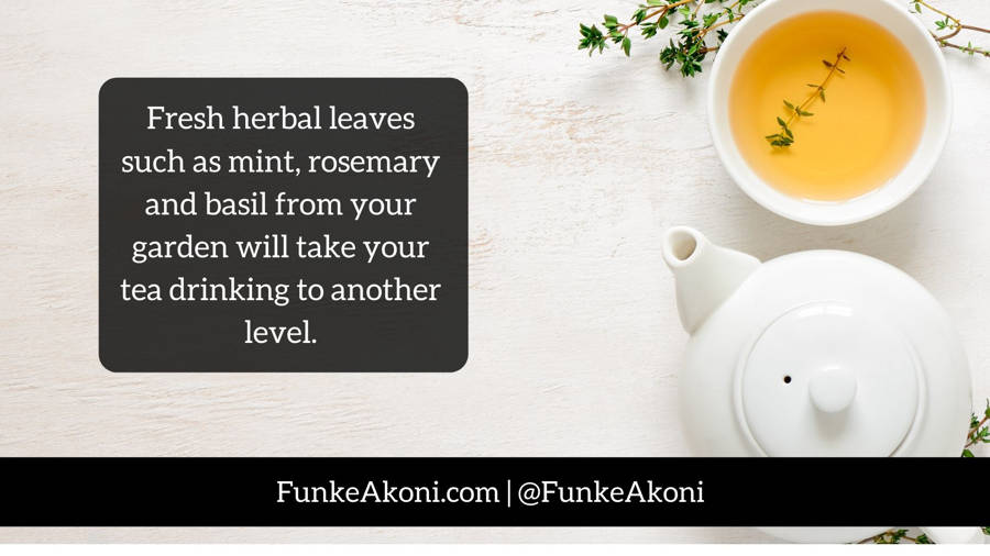 Grow your own tea and spices